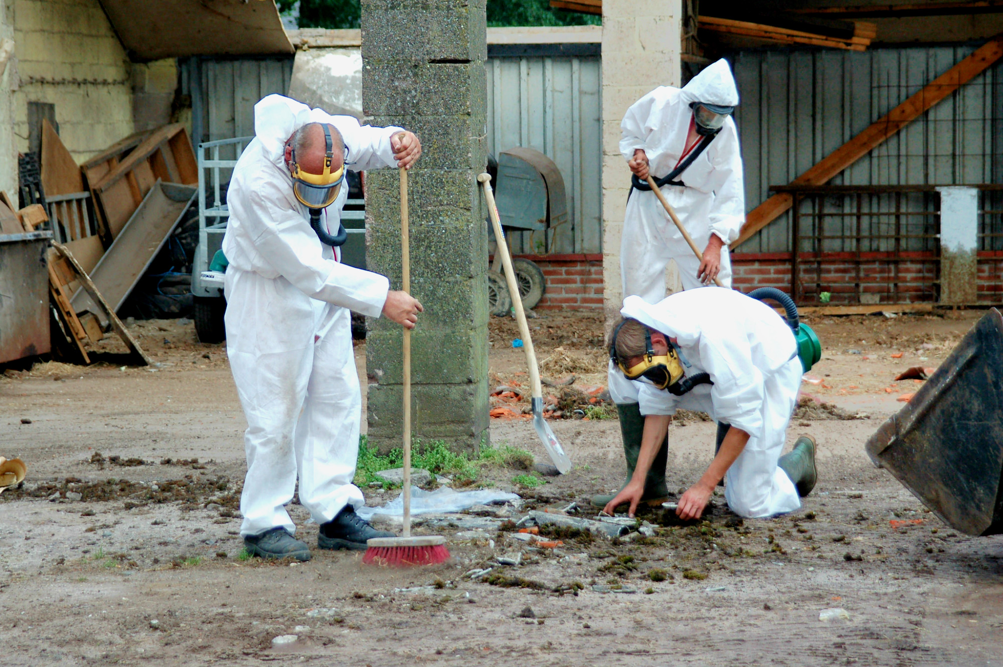 Picture of Knowing Safe Asbestos Removal