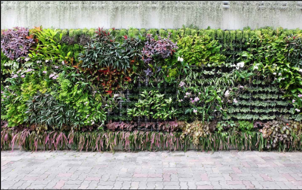 vertical foliage walls Gauteng