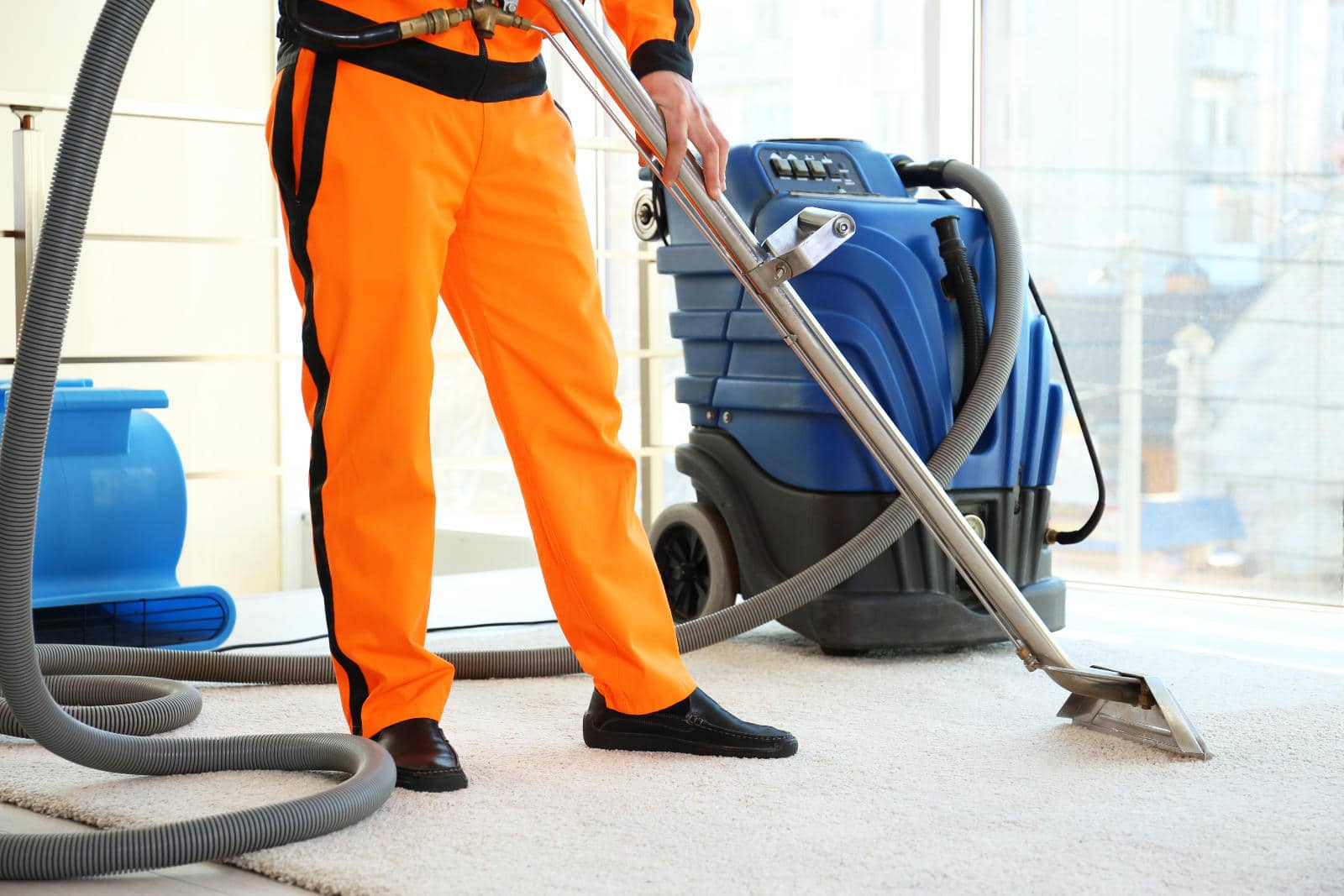 carpet cleaning and pest control Gold Coast