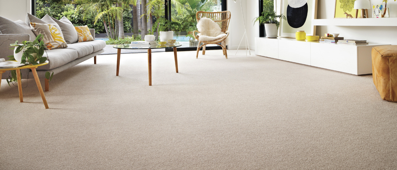 How to Find a Wholesale Carpet Supplier Sydney