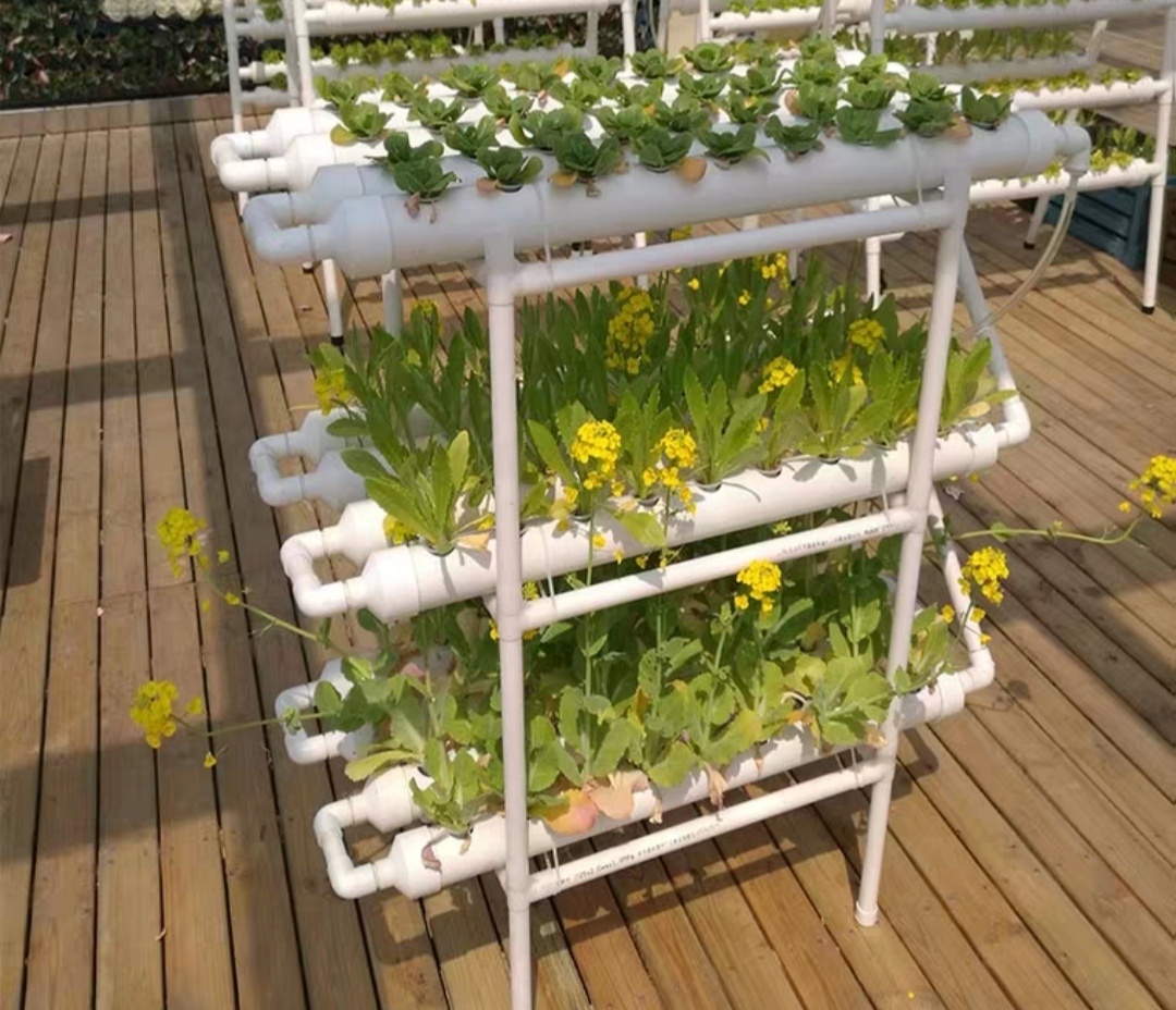 Everything You Need To Know About Hydroponic Supplies In Growing Plants Hydroponically