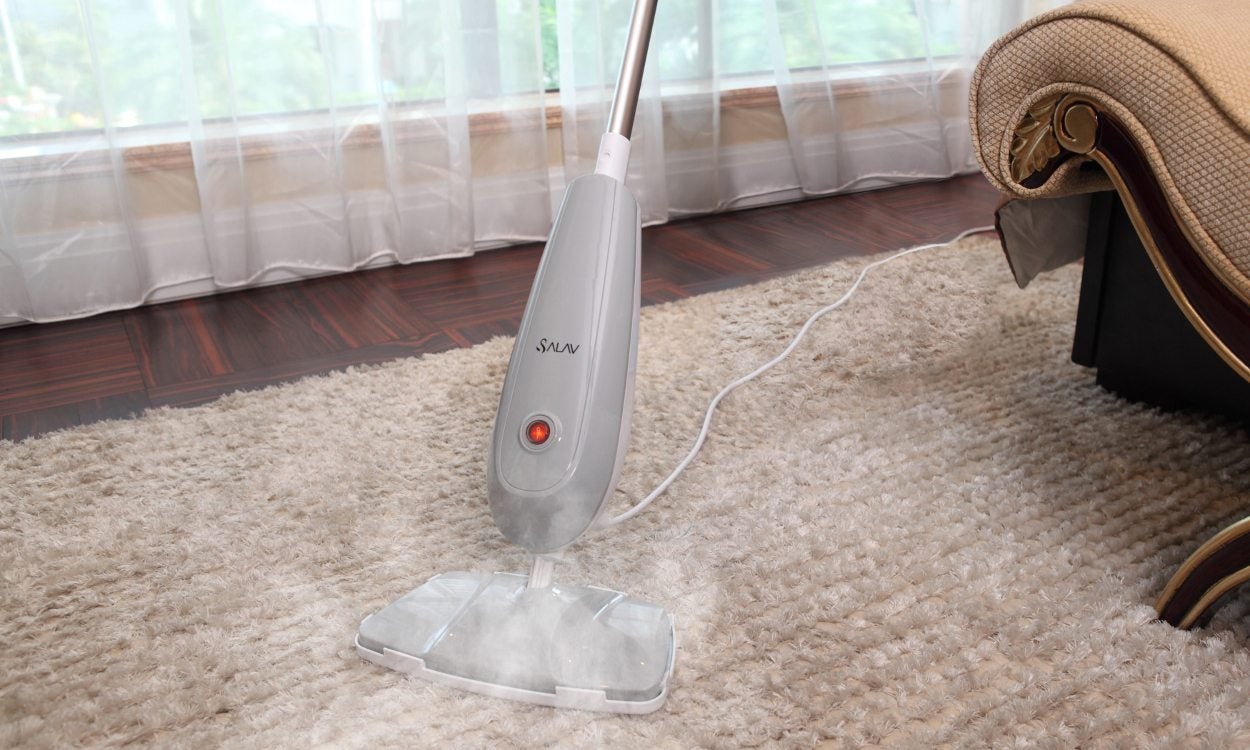 steam carpet cleaner perth