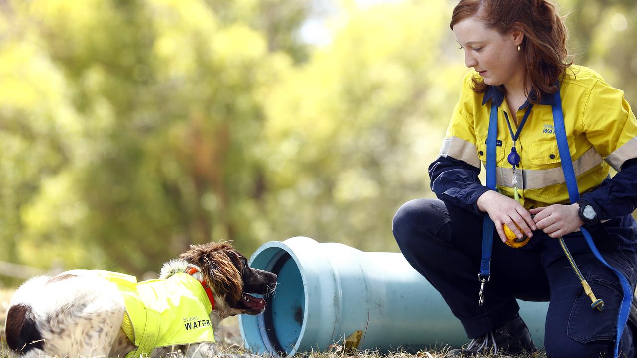 water leak detector Sydney