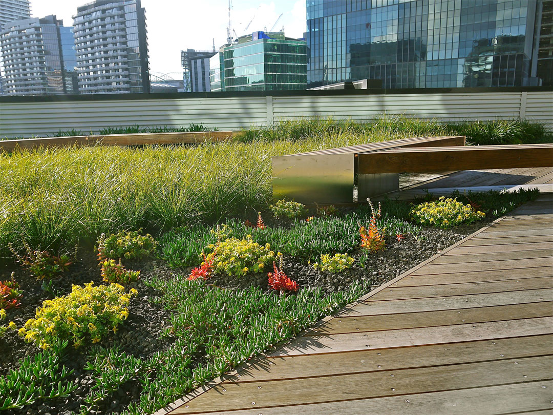 green roof Australia