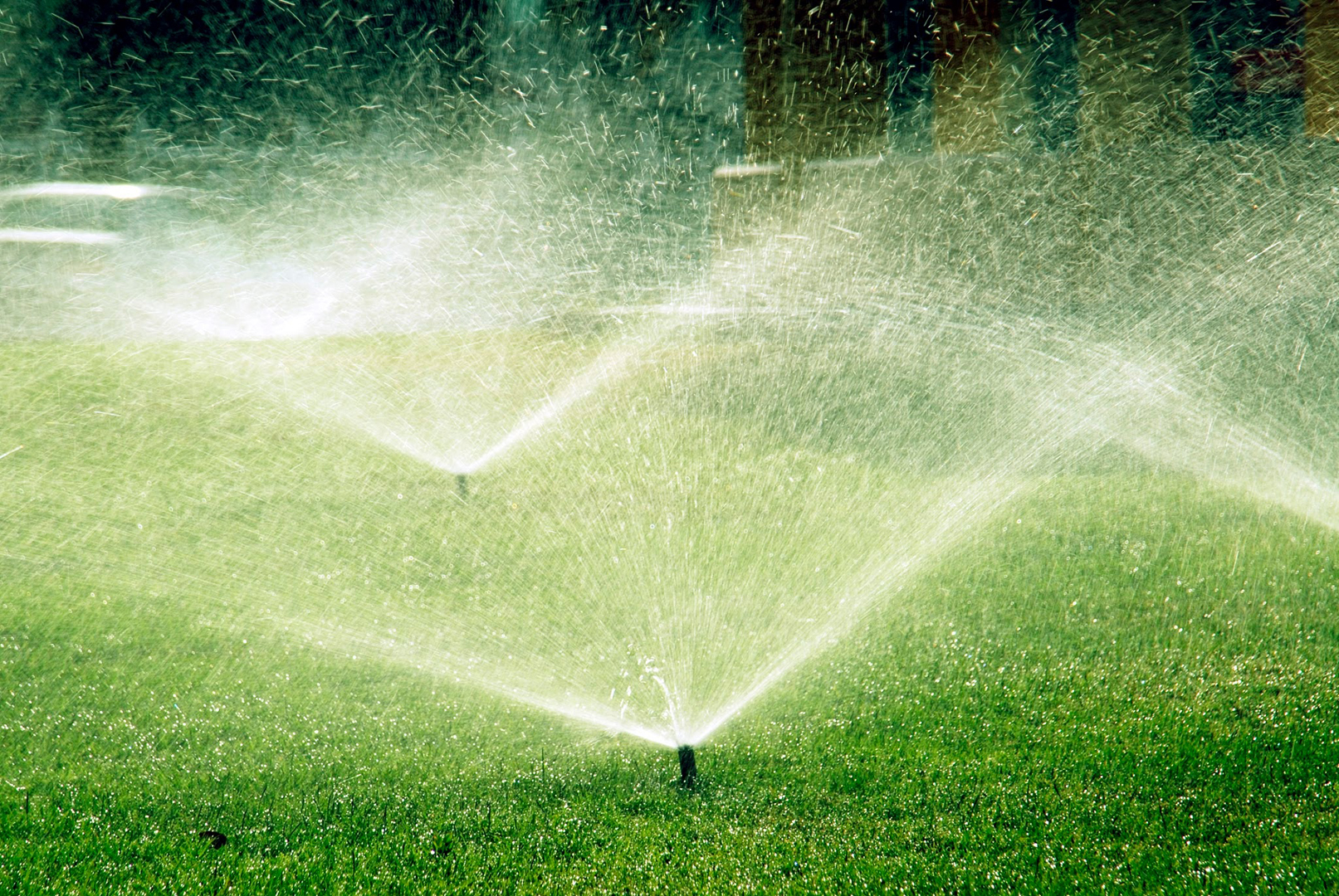 automatic sprinkler