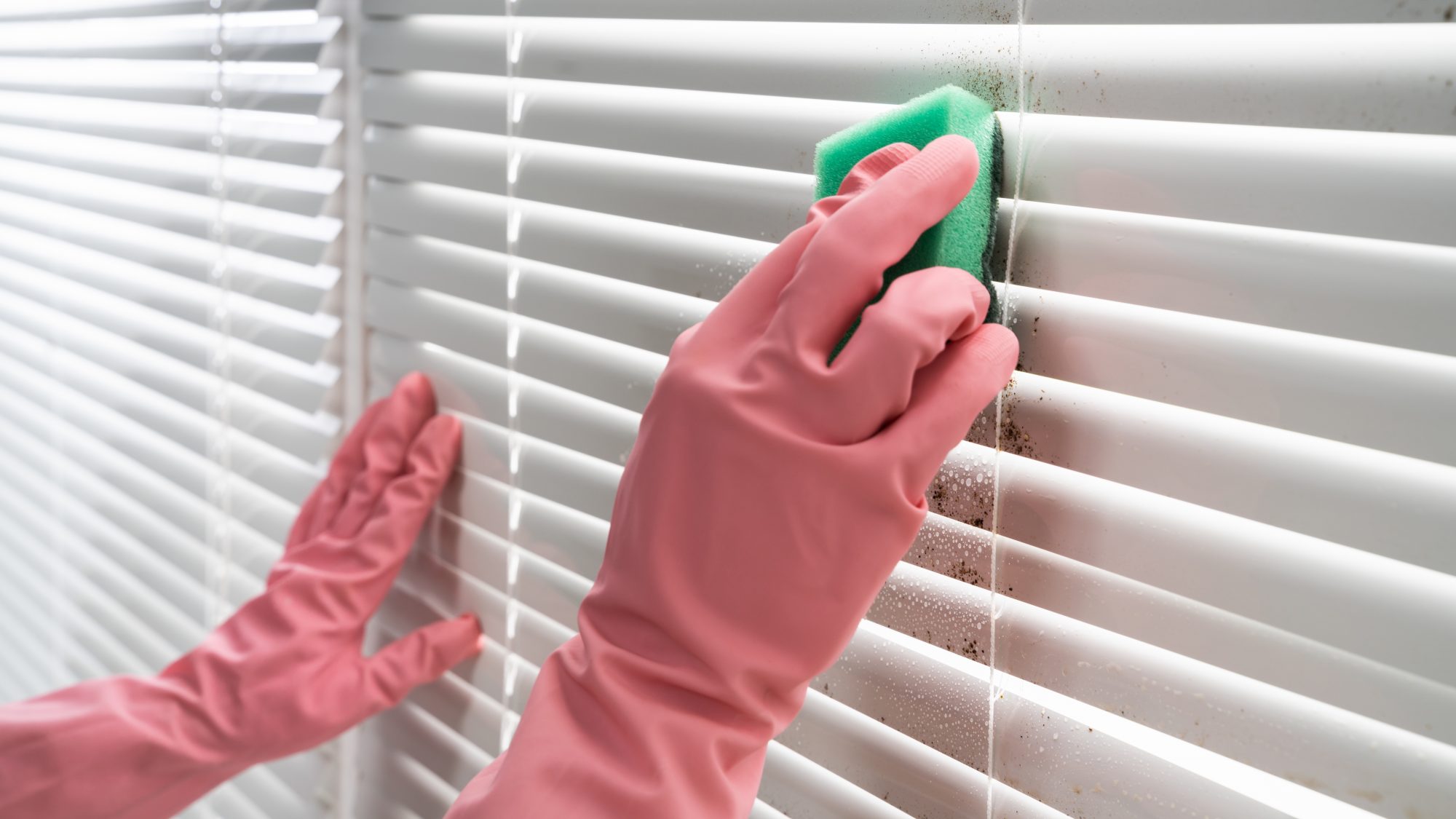 Blind Cleaning Perth for Quick And Proper Window Blinds Cleaning