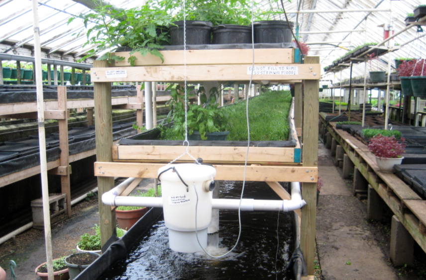 Things You Should Know About Hydroponics Kit