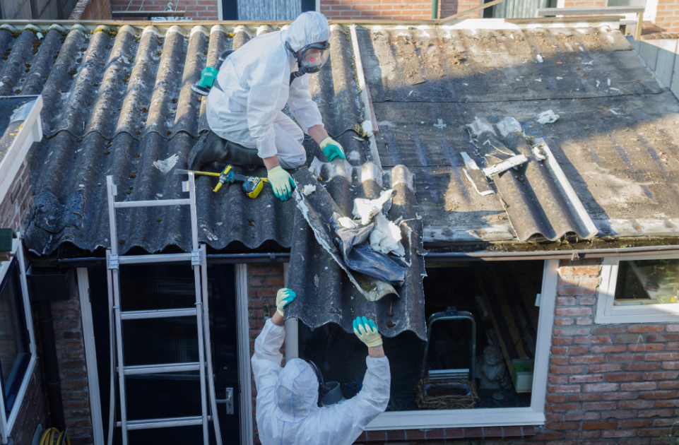 asbestos removal in Dunedin