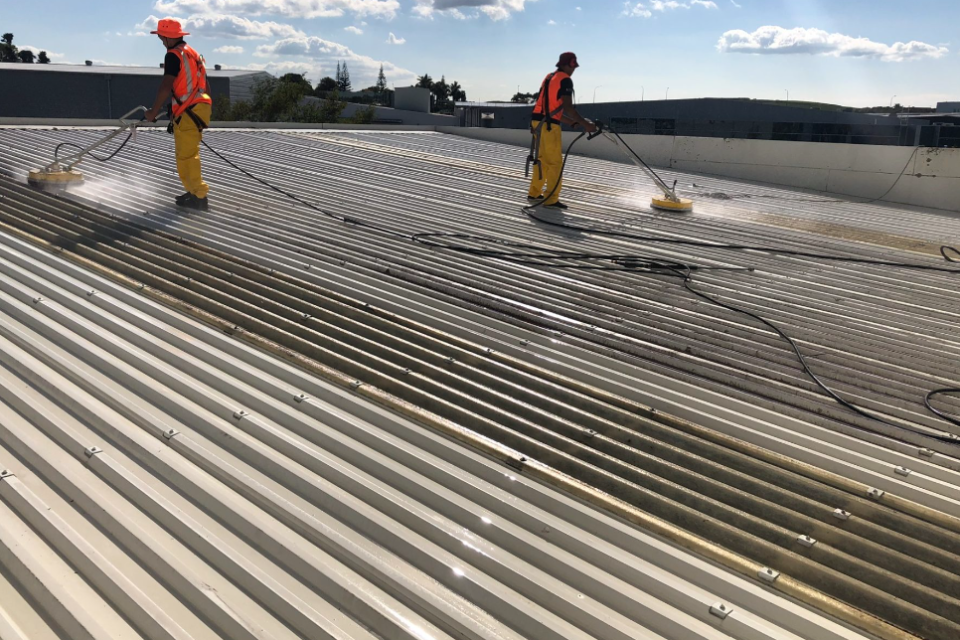 roof painting West Auckland