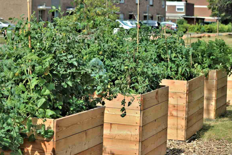 How To Build The Perfect Garden Bed For Your Home