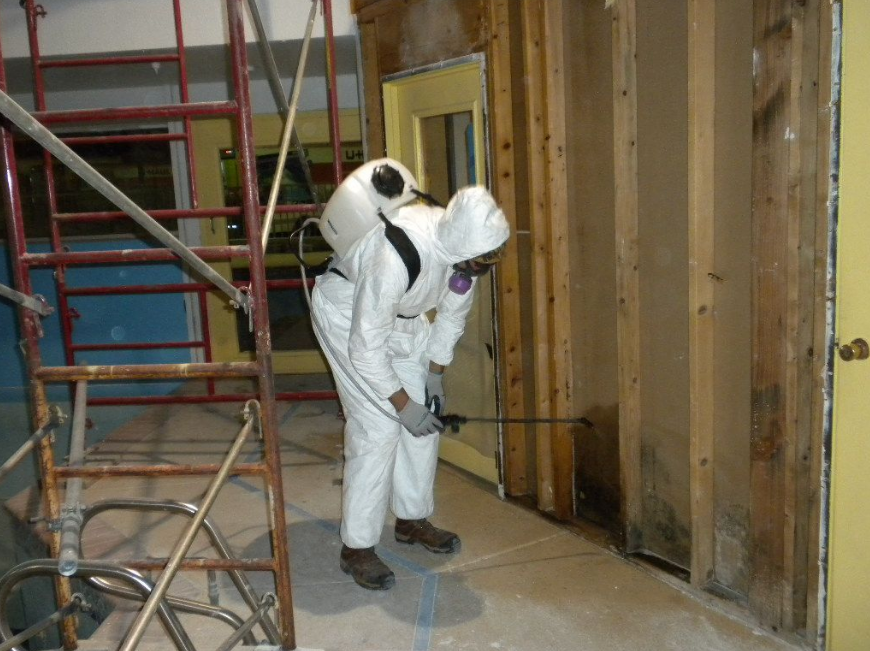 Tips To Find Mold Specialist In Maryland