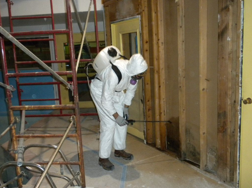 mold specialist in Maryland