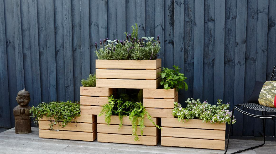 The Ultimate Guide to Choosing the Perfect Plant Box in NZ for Your Space