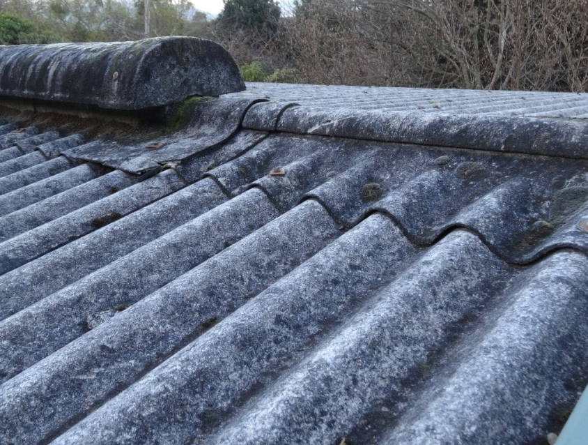Uncovering the Truth about Asbestos Roof Removal with a Certified Roof Removal Expert