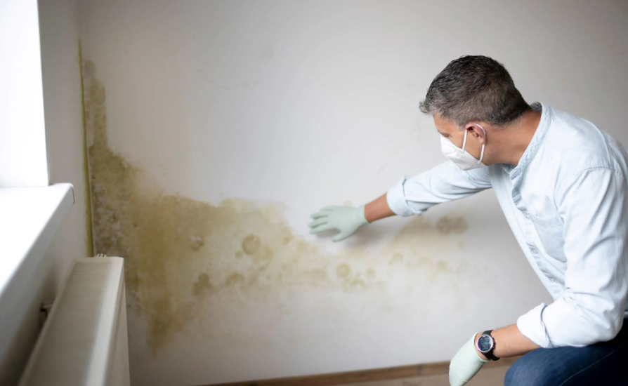 bathroom mould removal